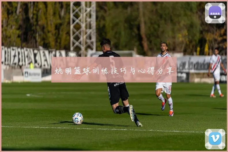 姚明篮球训练技巧与心得分享