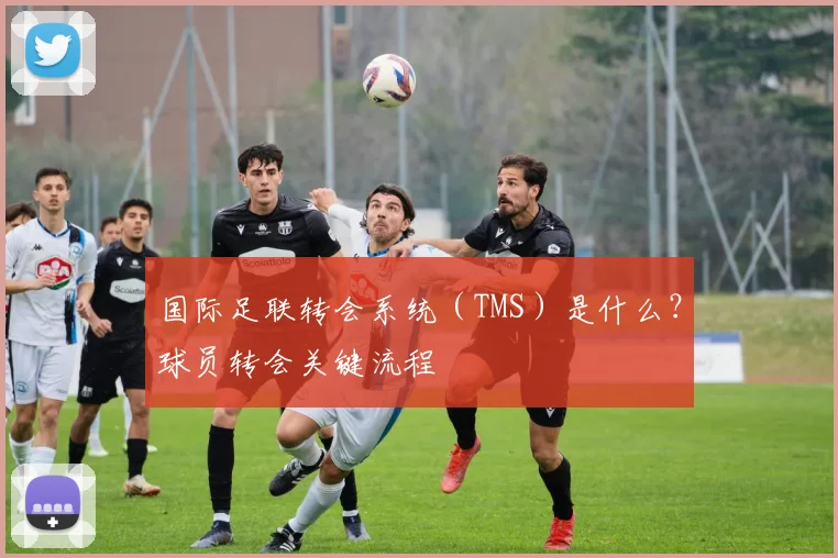 国际足联转会系统（TMS）是什么？球员转会关键流程